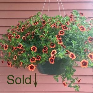 Everything below has been sold.